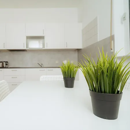 Frei In Bis Zu 11 Gaeste Willkommen