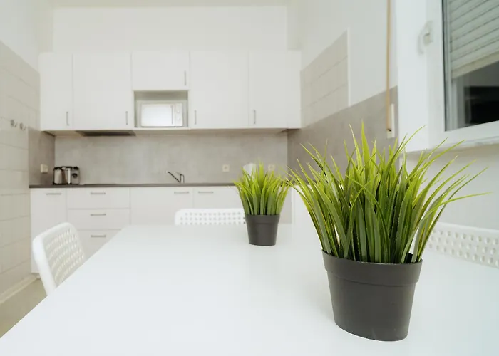 Frei In Bis Zu 11 Gaeste Willkommen