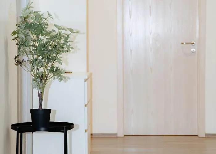 Frei In Bis Zu 11 Gaeste Willkommen Apartament